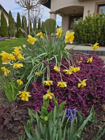 Zdjęcie WhatsApp 2025-04-14 o 16.38.12_76e75171