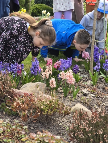 Zdjęcie WhatsApp 2025-04-14 o 16.38.12_80492cf6