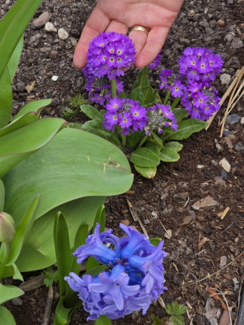 Zdjęcie WhatsApp 2025-04-14 o 16.38.12_f3abc70c