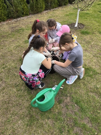 Zdjęcie WhatsApp 2025-04-14 o 16.38.10_e1ebb16a