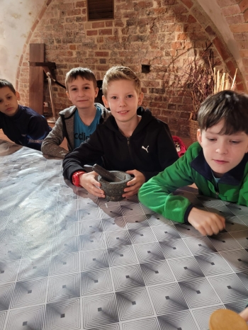 Zdjęcie WhatsApp 2025-05-08 o 15.08.15_be0a569c