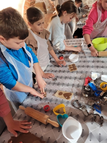 Zdjęcie WhatsApp 2025-05-08 o 15.08.15_f96ef371