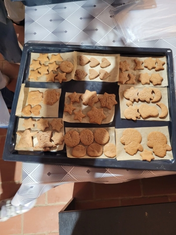 Zdjęcie WhatsApp 2025-05-08 o 15.08.16_e7cfab33