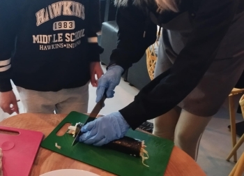 35bc9cbc-2594-459b-91e6-59bd056556b6