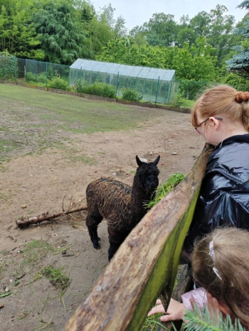 f9ab85be-c638-46b3-ac2b-159069f059bb