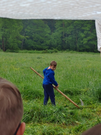 c6fafd03-0a9f-4d46-80c9-a7f22cee607c