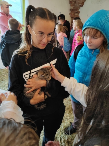 028461be-88e9-48c7-bf87-725ed5682ca4