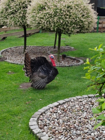 3dab6b60-4631-4505-b72e-3503273a6071