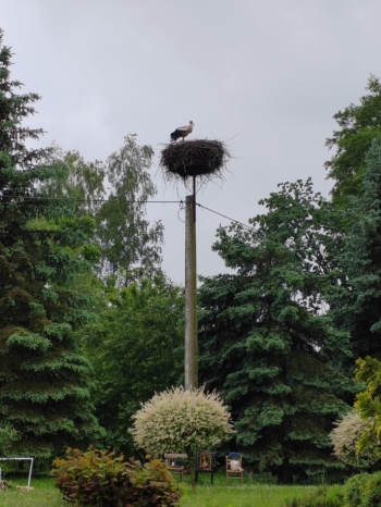 d1a5e672-ca03-45e3-a0ab-52744e7b2672