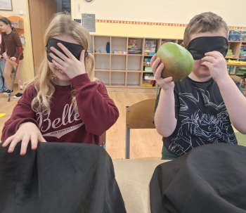 Zdjęcie WhatsApp 2025-12-03 o 17.24.59_a3094361