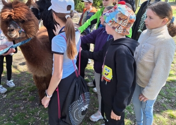 WhatsApp Image 2026-04-20 at 13.35.26.jpeg