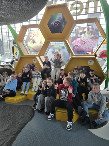 WhatsApp Image 2026-04-28 at 12.56.4645tytr.jpeg