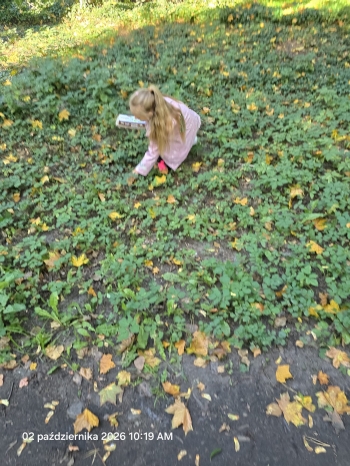 IMG-20261002-WA0005